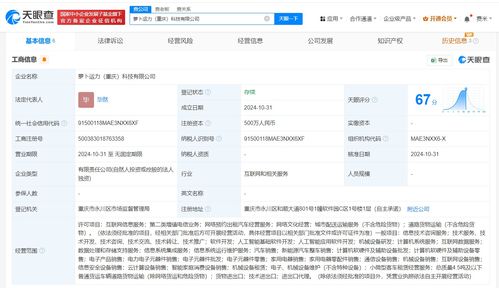 蘿卜快跑重慶新公司成立，注冊資本500萬元布局基礎軟件服務